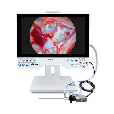 kopen All In One HD Endoscopie Videocamera 15,6 inch Monitor Voor ENT Laparoscopie Hysteroscopie Urologie online vervaardiging