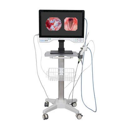 kopen TUYOU 24 inch UHD All in One Rigid Endoscopic Camera voor endometriumchirurgie online vervaardiging