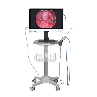 kopen 24in TUYOU Nasopharyngoscoop Endoscoop Camera Recorder voor High Definition Laparoscopy Operaties online vervaardiging