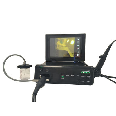 kopen TUYOU Fabriek Flexibel Gastroscoop Colonoscoop Endoscoop Camera Systeem Voor Huisdieren Gastro-intestinale Diagnostiek online vervaardiging
