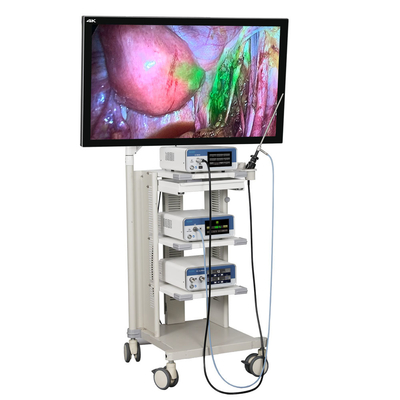 kopen Met USB-video-opname Chirurgisch ICG 4K-endoscoopcamerasysteem online vervaardiging
