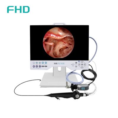 kopen 15'' All-in-One Full HD Endoscopie Camerasysteem met Ingebouwde LED Lichtbron voor KNO en Urologische Chirurgische Toepassingen online vervaardiging
