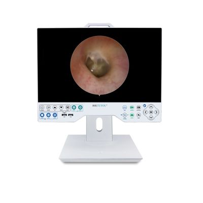 Fabrieksontwerp 15 inch FHD camera systeem met record compatibele flexibele en stijve endoscoop