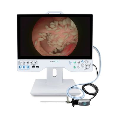 15 inch FHD flexibel en stijf endoscoop camera systeem met record compatibel voor chirurgische gebruik