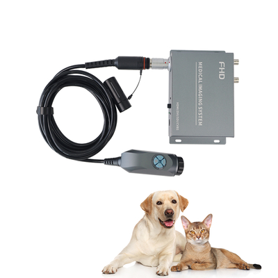 Tuyou 4-poorts 1080P Endoscoop Converter Box Draagbare Medische Beeldvorming KNO Huisdier Laparoscopie