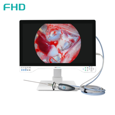 4K All In One Endoscoop Camera System Ingebouwd LED-licht met 32 inch medisch monitor